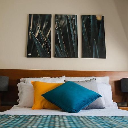Casa Agave X Santiago De Tequila Apartment ภายนอก รูปภาพ